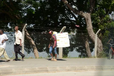 DSC_7571 (Large).JPG